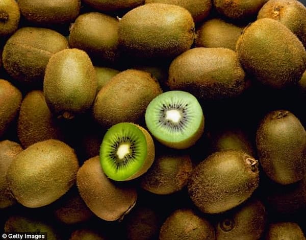 تصویر 3 از فروش کیوی هایوارد سبز + قیمت خرید به صرفه